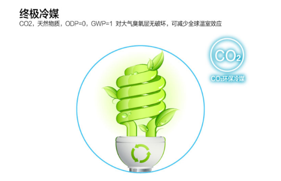 哈尔滨香蕉成人网视频